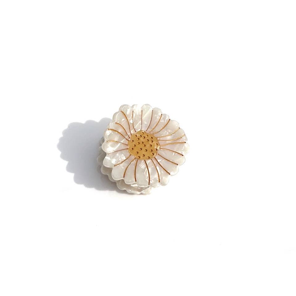 Hand-Painted Hair Claw Clip